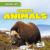 Tundra Animals Tundra Animals