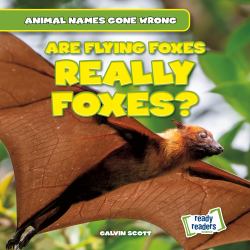 Are Flying Foxes Really Foxes?