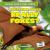 Are Flying Foxes Really Foxes?