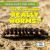 Are Glowworms Really Worms?