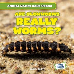 Are Glowworms Really Worms?