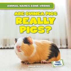 Are Guinea Pigs Really Pigs?