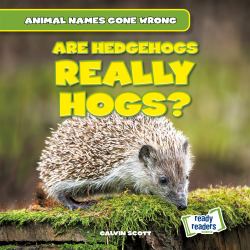 Are Hedgehogs Really Hogs?