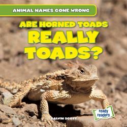 Are Horned Toads Really Toads?