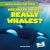 Are Killer Whales Really Whales?