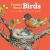 Curious about Birds