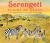 Serengeti : Plains of Grass