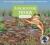 A Place for Frogs (Third Edition)