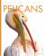 Pelicans