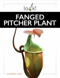 Fanged Pitcher Plant