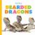Baby Bearded Dragons Baby Bearded Dragons