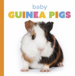 Baby Guinea Pigs