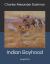Indian Boyhood : Large Print