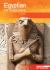 Egyptian Mythology
