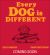 Every Dog Is Different Every Dog Is Different
