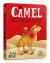 The Camel Who Had the Hump Board Book