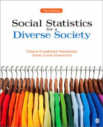 Social Statistics for a Diverse Society