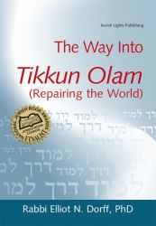 The Way into Tikkun Olam (Repairing the World)