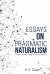 Essays on Pragmatic Naturalism : Discourse Relativity, Religion, Art, and Education