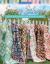 Scrap School : 12 All-New Designs from Amazing Quilters