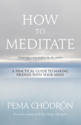 How to Meditate : A Practical Guide to Making Friends with Your Mind