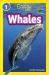 Whales : Level 1