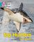 Collins Big Cat Phonics for Letters and Sounds - Top Hunters: Band 07/Turquoise