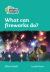 Level 3 - What Can Fireworks Do? (Collins Peapod Readers)