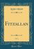 Fitzallan, Vol. 2 (Classic Reprint)