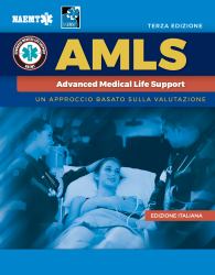 AMLS : Un Approccio Basato Sulla Valutazione