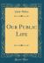 Our Public Life (Classic Reprint)