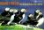 Project Puffin : How We Brought Puffins Back to Egg Rock