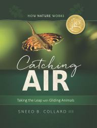Catching Air : Taking the Leap with Gliding Animals