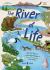 The River of Life : A Lift-The-flap Book about the Amazing Animals That Live in Rivers Around the World