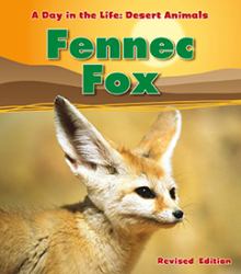 Fennec Fox