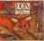 Fox Fox