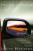 Driving to Detroit : Memoirs of a Fast Woman