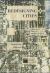 Redesigning Cities : Principles, Practice, Implementation