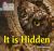 It Is Hidden : Phase 3 Set 2