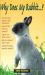 Why Does My Rabbit...?