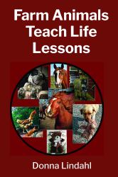 Farm Animals Teach Life Lessons