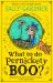 What to Do, Pernickety Boo? (Pernickety Boo, Book 2)