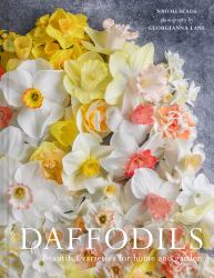 Daffodils : Beautiful Varieties for Home and Garden
