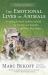 The Emotional Lives of Animals (revised) : A Leading Scientist Explores Animal Joy, Sorrow, and Empathy - and Why They Matter