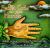 The Secret Code on Your Hands : An Illustrated Guide to Palmistry