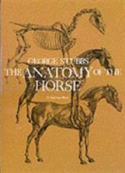 The Anatomy of the Horse