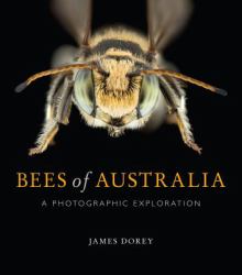 Bees of Australia : A Photographic Guide