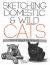 Sketching Domestic and Wild Cats : Pen and Pencil Techniques
