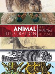 Animal Illustration : The Essential Reference