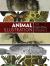 Animal Illustration : The Essential Reference